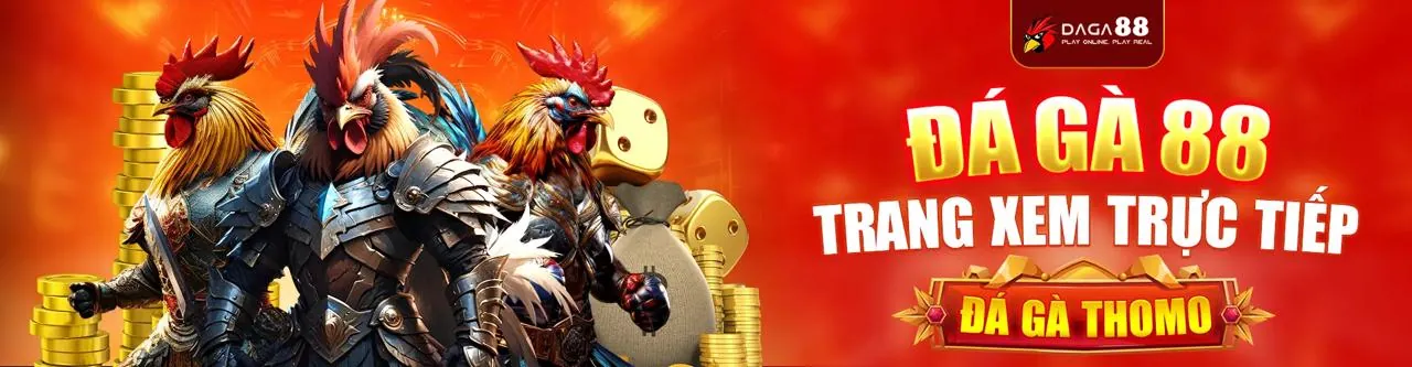 Sân đấu đá gà trực tuyến Bigboss sôi động